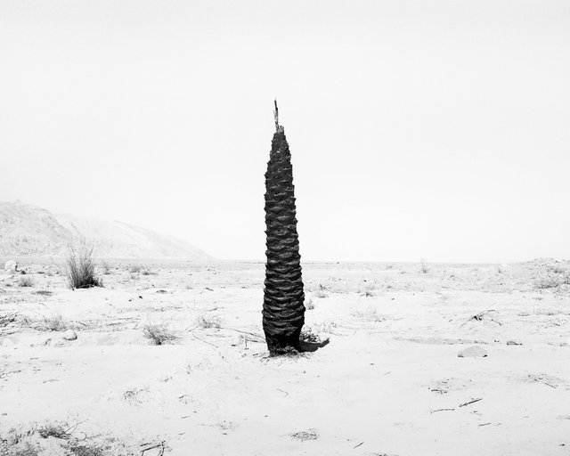 Village View 08, 2019, Archival Pigment Print, 98 cm x 78,4 cm, Ed. 5 + 2AP