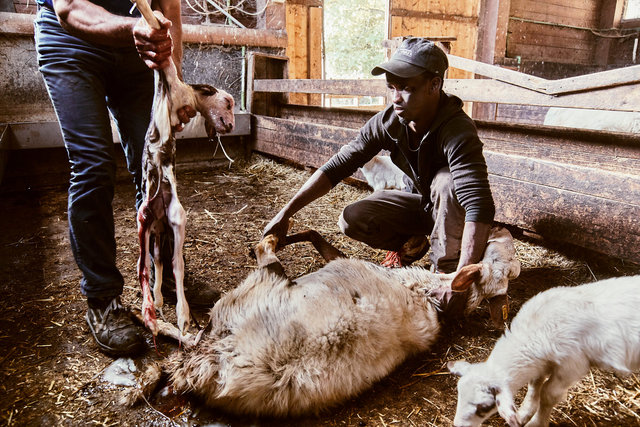 DOCUMENTARY, Somewhere in Appennino Reggiano