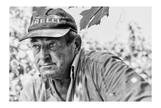 PORTRAITURE, Reggio Emilia, Italy