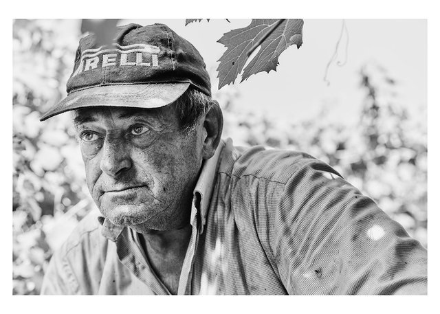 PORTRAITURE, Reggio Emilia