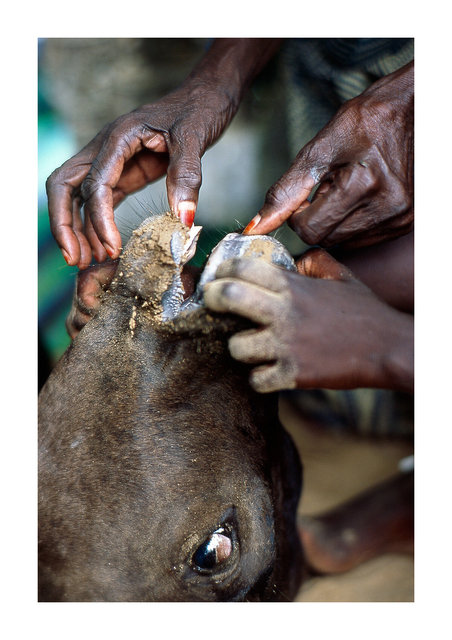 DOCUMENTARY, Dakar, Senegal