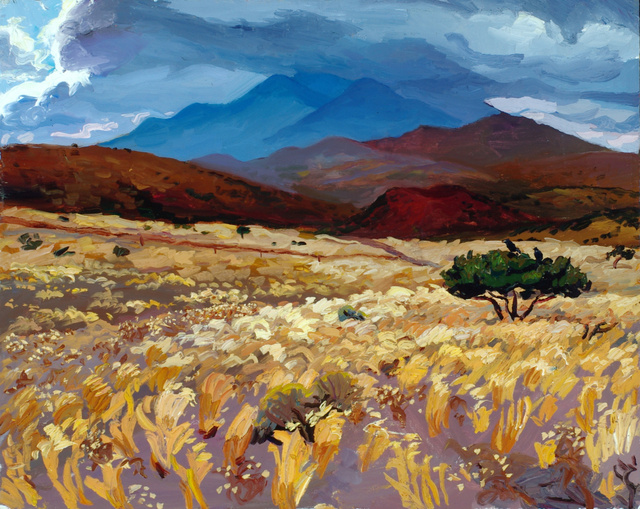 East of Flagstaff, AZ, 24 x 30" sold