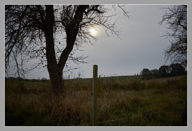 Craonne, Aisne. Chemin des Dames