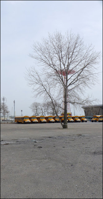 The Parachute, Coney Island, 2012