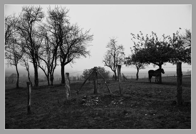 Craonne, Aisne. Chemin des Dames