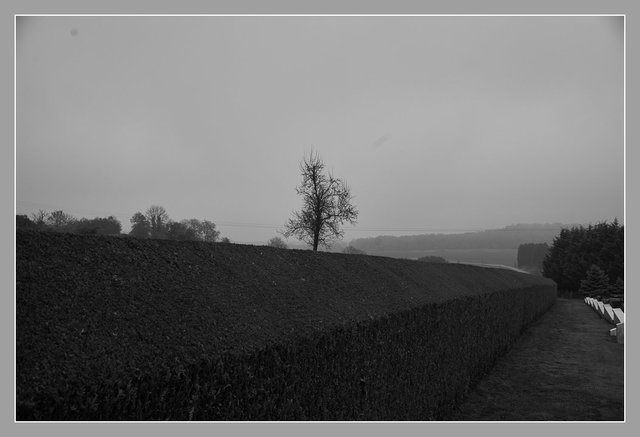 Craonne, Aisne. Chemin des Dames