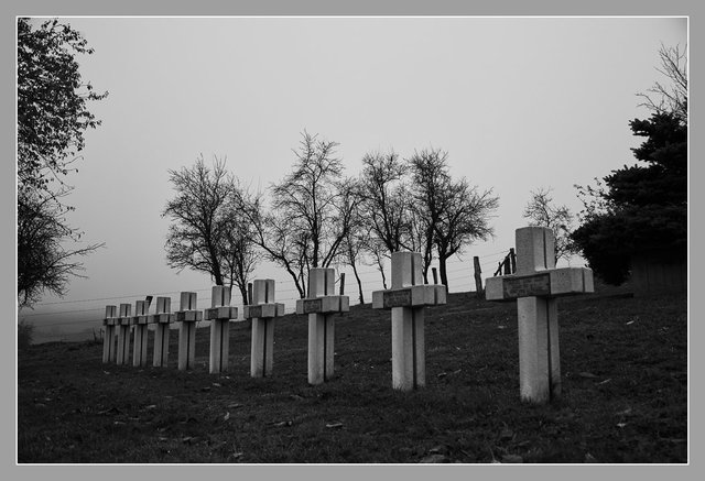 Craonne, Aisne. Chemin des Dames