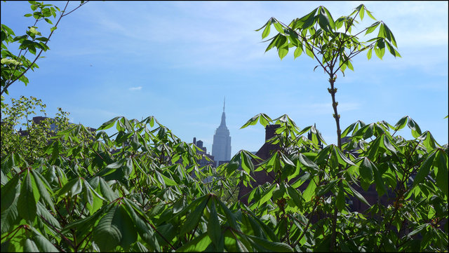 The Empire State building, 2013