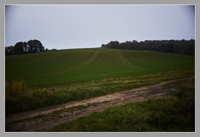 Craonne, Aisne. Chemin des Dames