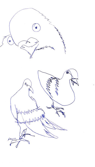crazy bird.jpg