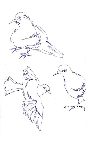 flying birds.jpeg