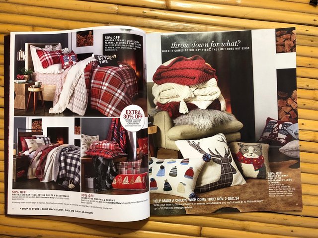 Macys flyer with Rae Work.jpg