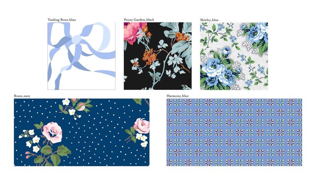 Rae Buleri Portfolio March 2025 quick view_Page_50.jpg