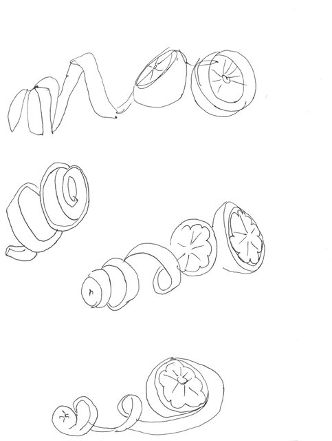 Orange Peels.jpeg
