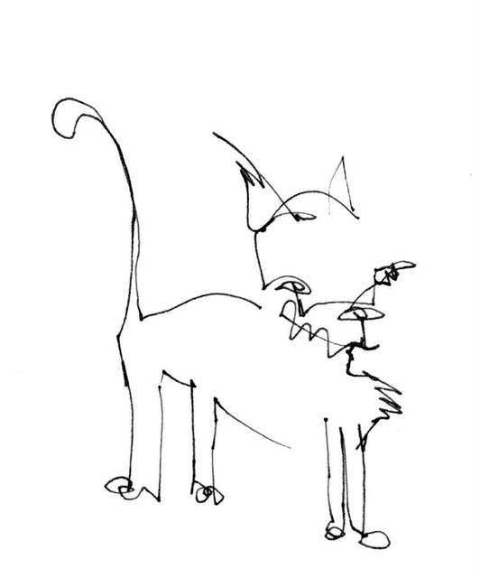 cat watching birds.jpeg