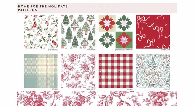 Rae Buleri Portfolio March 2025 quick view Target_Page_26.jpg