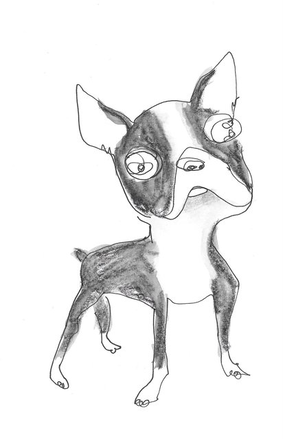 boston terrier.jpeg