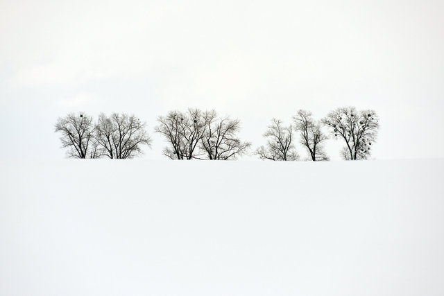 DY1_0390.JPG