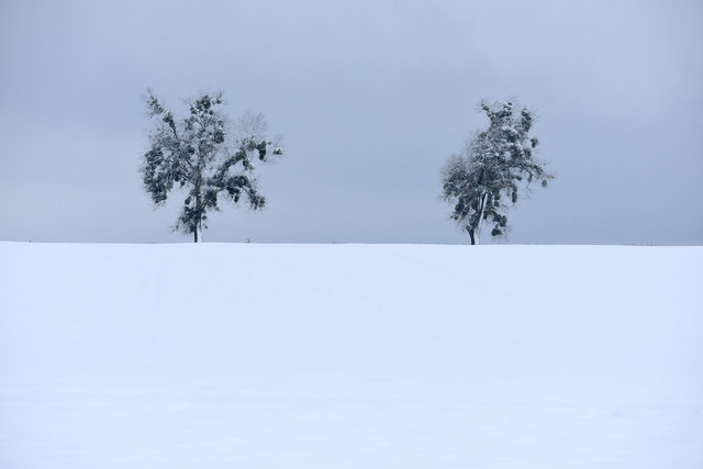 DY1_0497.JPG
