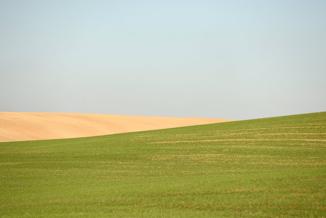 DY1_1061.JPG