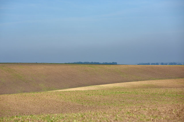 DY1_5410.JPG