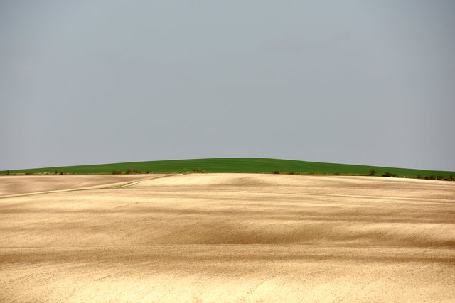 DY1_4210_111.JPG