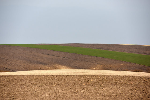 DY1_3730.JPG