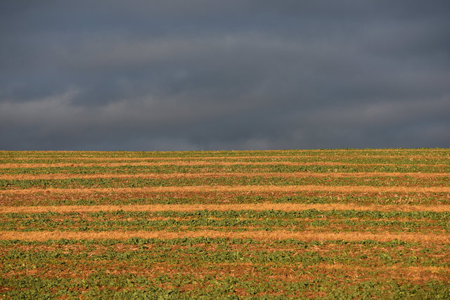 DY1_4620.JPG
