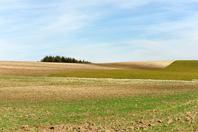 DY1_5567.JPG