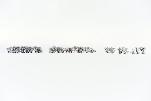 DY1_0391.JPG
