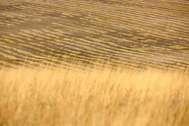 DY1_0472.JPG