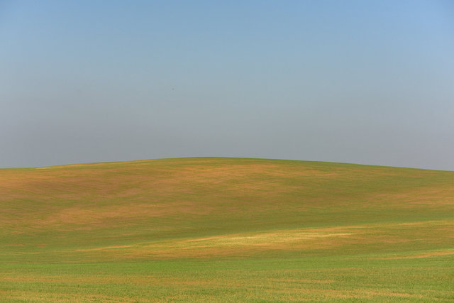 DY1_5776.JPG