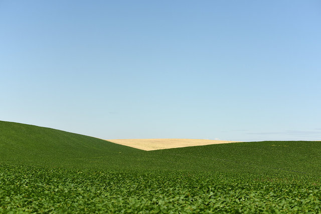 DY1_0852.JPG