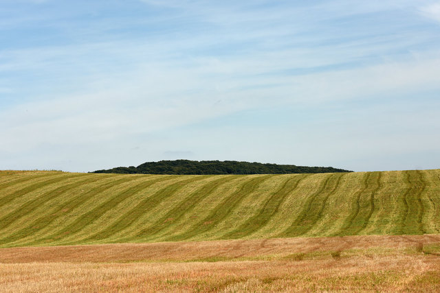 DY1_5637.JPG