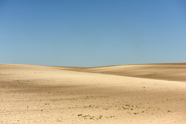 DY1_8608.JPG