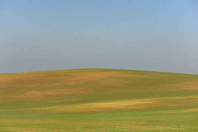 210_DY1_5776.jpg