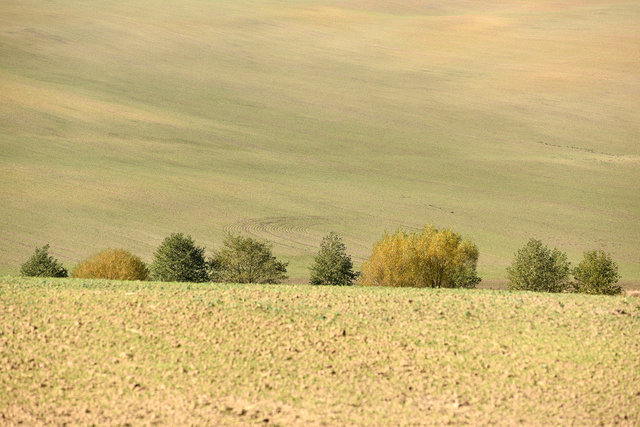 DY1_0845.JPG