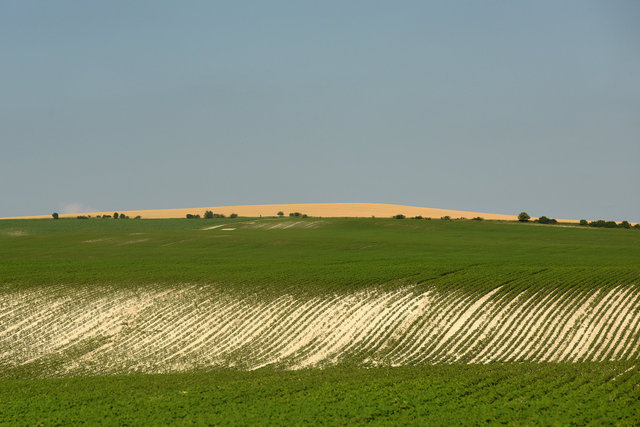 DY1_9919.JPG
