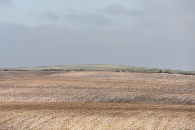 DY1_9139.JPG