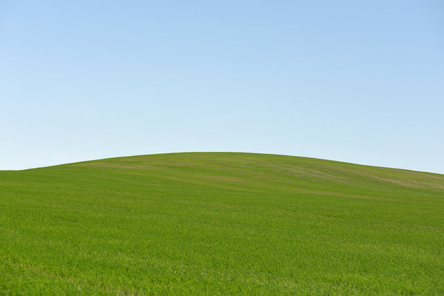 DY1_5456.JPG