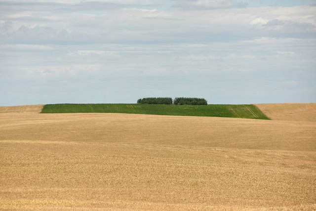 DY1_1052.JPG