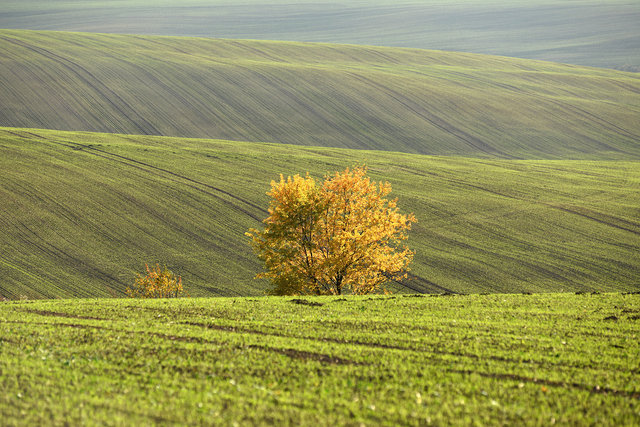 DY1_0901.JPG