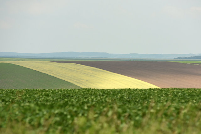 DY1_9748 копіювати.JPG