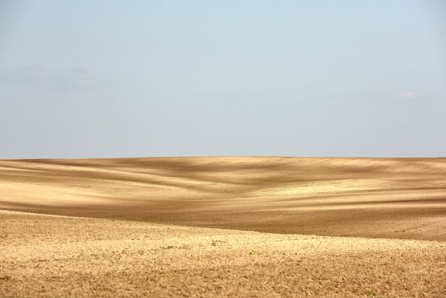 DY1_4263.JPG