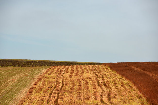 DY1_5522 копіювати.JPG