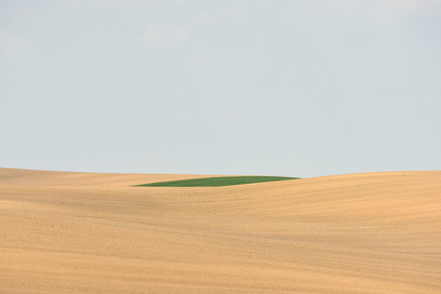 DY1_8514.jpg