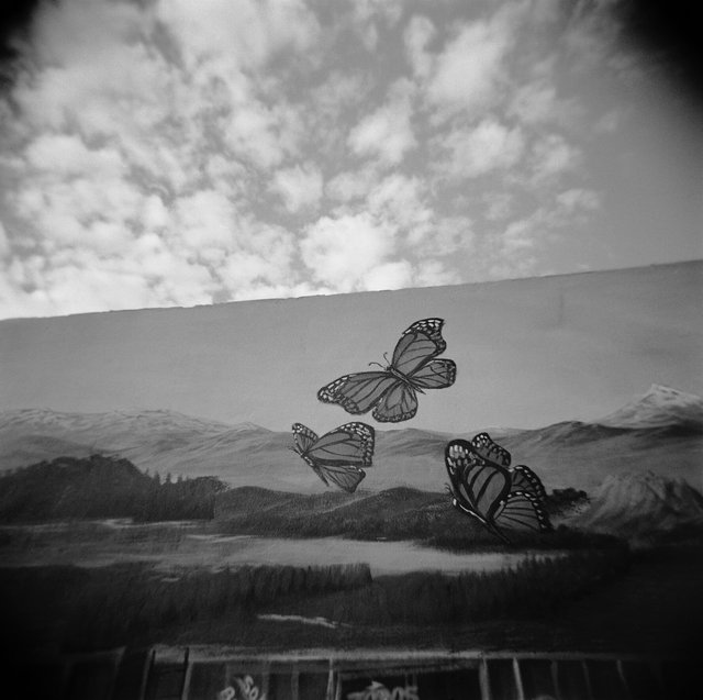 10-AGUA PRIETA, MX_MURAL PAINTED ON IMMIGRANT SHELTER _10:2021 copy.jpg