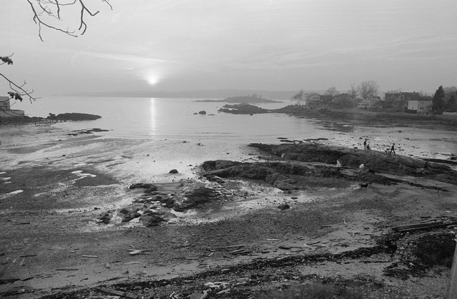 007Image_021_1978_Gloucester.jpg