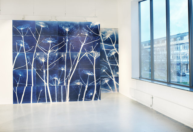 installationsbild.jpg