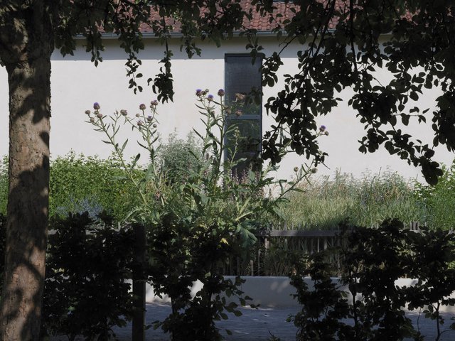 220725-AZINCOURT_1098_bd.jpeg